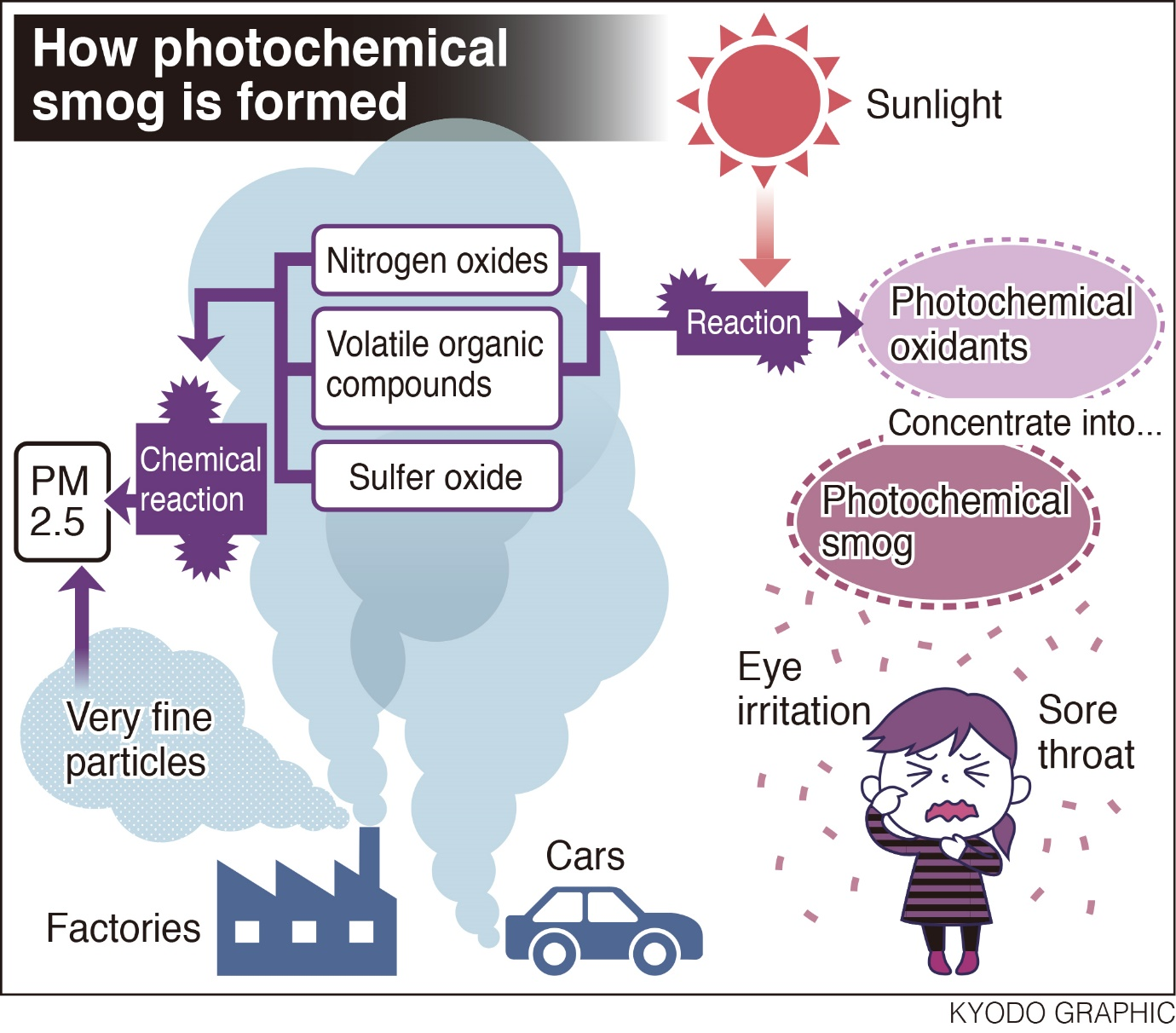 Environmental Pollution